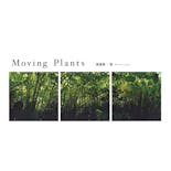 【資生堂ギャラリー】渡邊耕一展　Moving Plants　展覧会カタログ